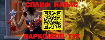 мяу мяу мука Аргун