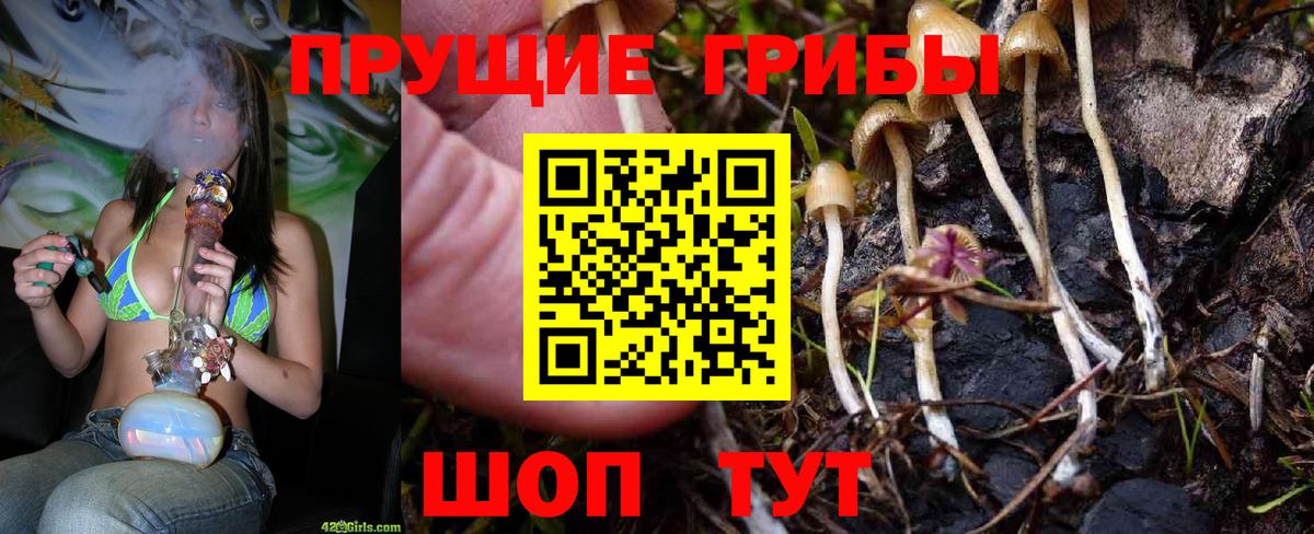 Артёмовский  Псилоцибиновые грибы MAGIC MUSHROOMS  Вход с VPN 