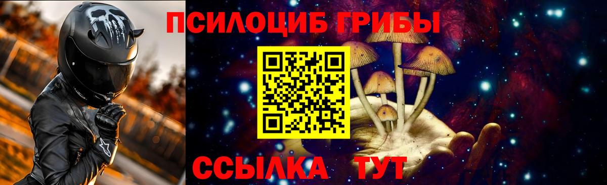 Галлюциногенные грибы мухоморы Артёмовский
